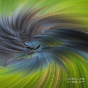 Wild Wind - selected in the 2016 Small Works National Juried Exhibition 